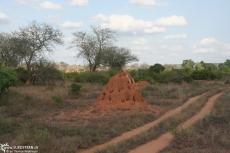IMG 7648-Kenya, ant hill in Tsavo East